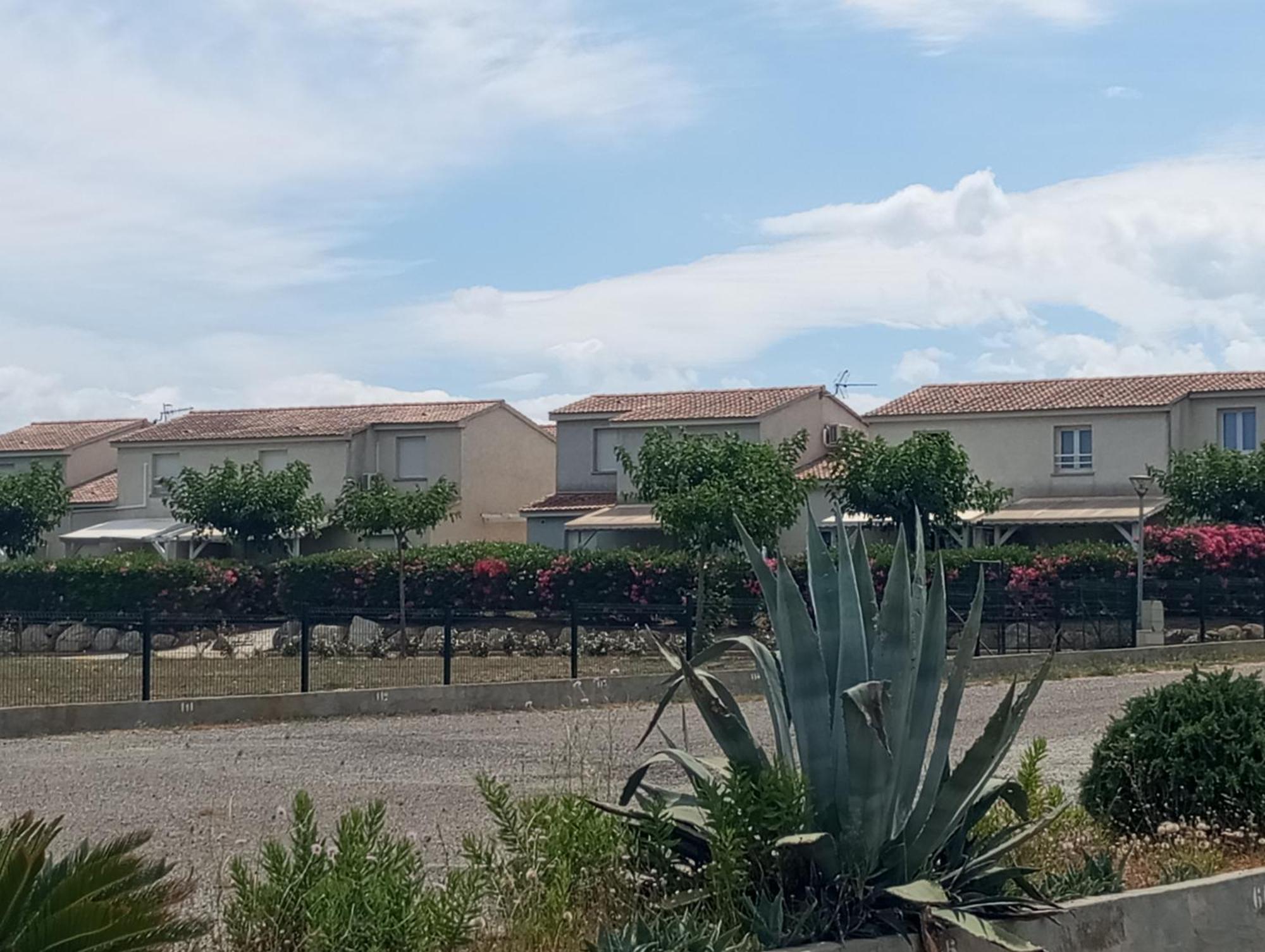 Villa Climatisee A Nuciola Prunete Entre Mer, Montagne Et Piscine Cervione Exterior foto