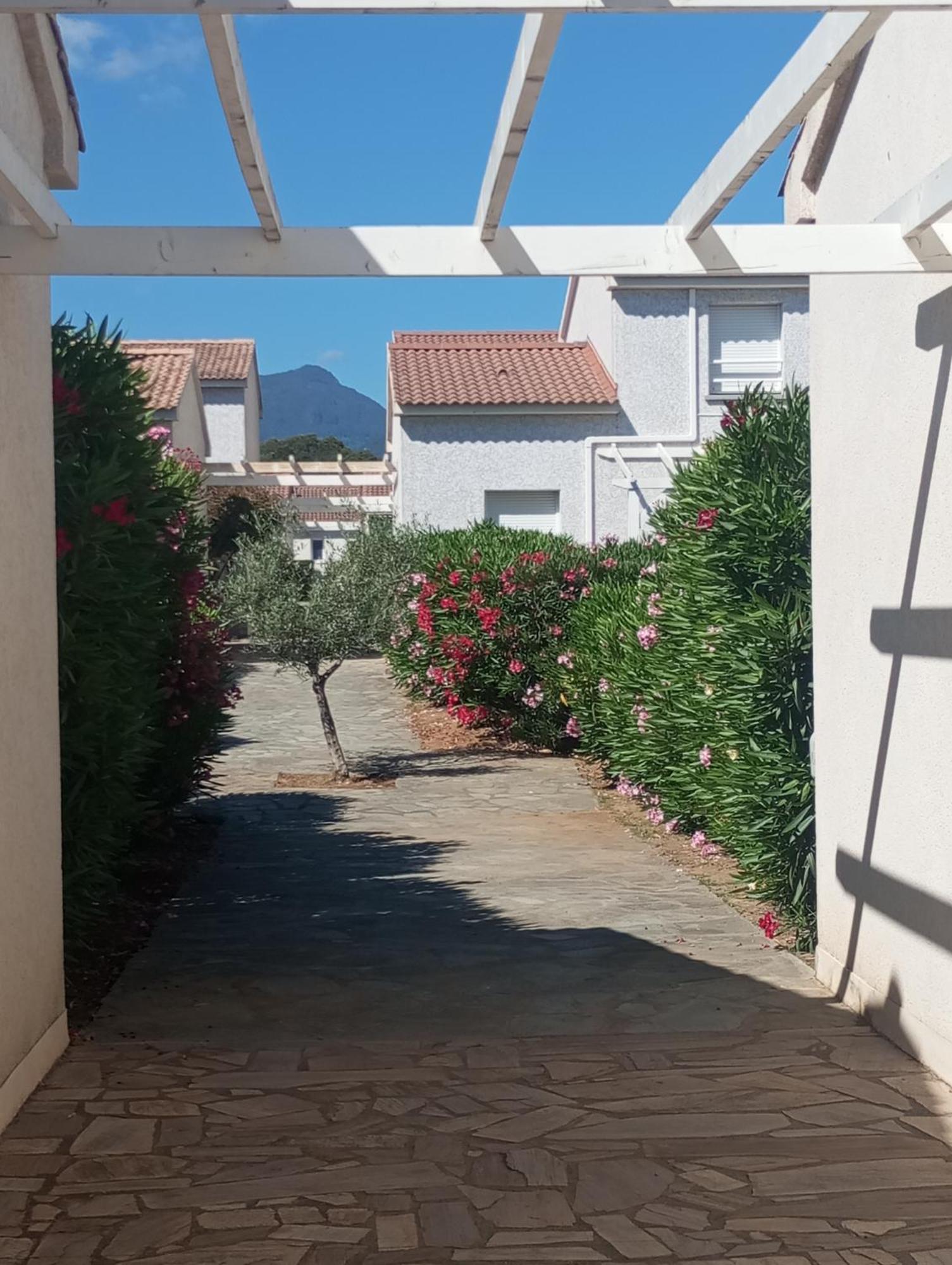 Villa Climatisee A Nuciola Prunete Entre Mer, Montagne Et Piscine Cervione Exterior foto